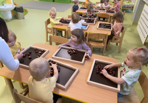 Dzieci siedzą przy stolikach i bawią się kasztanami na tackach sensorycznych.