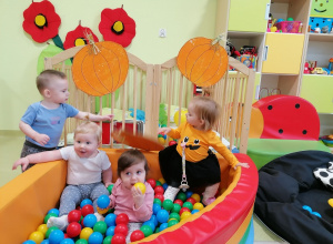 Listopadowe zabawy u Żabek