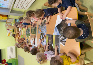Dzieci siedzą przy stole i oglądają obrazki ze zwierzętami mieszkającymi w lesie