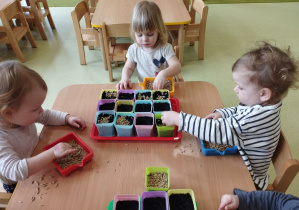 Dzieci siedzą przy stoliku i sieją nasiona owsa w kolorowe doniczki.