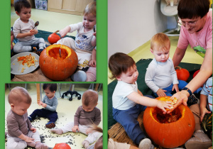 Dzieci wydobywają pestki dyni z jej wnętrza.