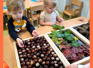 Październik w Biedronkach