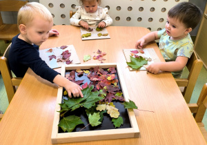 Dzieci siedzą przy stoliku. Na tackach są kolorowe liście. Każde z dzieci przykleja kolorowe liście na tekturze.