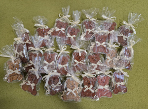 Dzień Pluszowego Misia w Pszczółkach