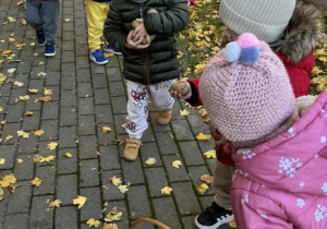 Dzieci podczas zabawy na świeżym powietrzu zbierają ziemniaki do koszyczka.