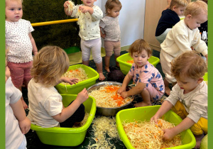 Na podłodze rozłożona jest mata. W zielonych miskach jest szatkowana kapusta. Dzieci bawią się ugniatając kapustę rączkami.