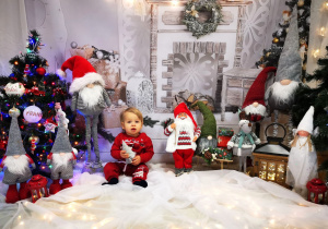 Leon pozuje do świątecznej sesji.