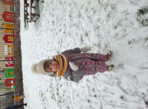 Styczeń w Motylkach