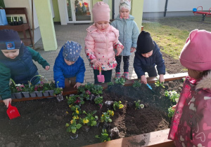Dzieci pracują w żłobkowym ogrodzie kopiąc ziemię i sadząc kwiaty.