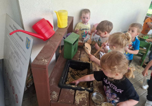 Dzieci bawią się piaskiem w kuchni błotnej.