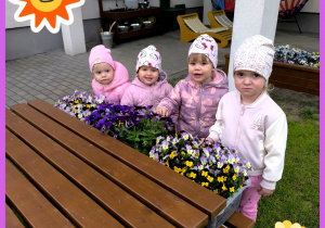 Pola, Amelka, Hania i Apolonia oglądają i wąchają kwiatki na żłobkowym placu zabaw.