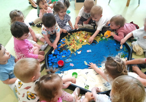 Dzieci bawią się materiałami sensorycznymi z okazji Dnia Oceanu wykorzystując makaron, ryż, kaszę.